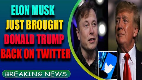 TRUMP BACK ON TWITTER ELON MUSK JUST BROUGHT BREAKING NEWS