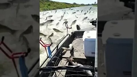 fishes catch easy #shorts #trending #entertainment #viral #creative