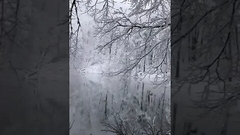 What a beautiful winter
