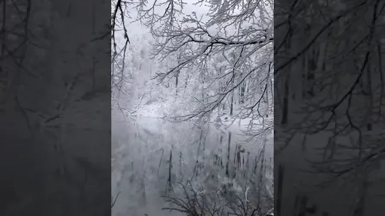 What a beautiful winter