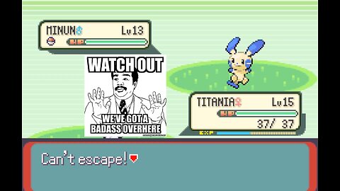 ZuperNEZ plays Pokemon Emerald Episode 7: Hokey Pokeballs