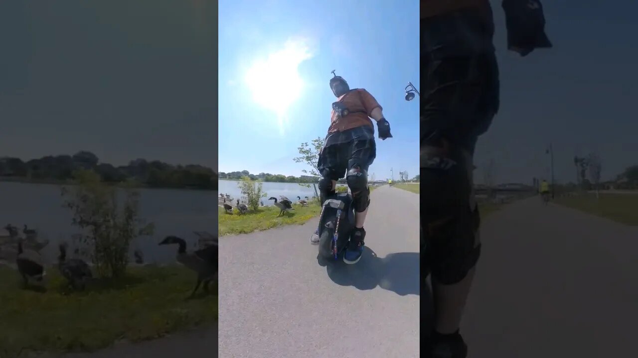 Canadian 💩 machines on the Genesee Riverway Trail #cyclingpath #electricunicycle #geese #wled