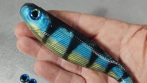 Blue Perch Swimbaits Winner