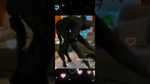 trabalhe legalzinho amor