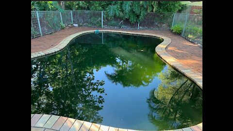 Cleaning pool satisfying results