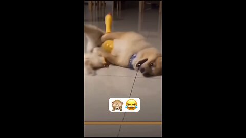 🤣
