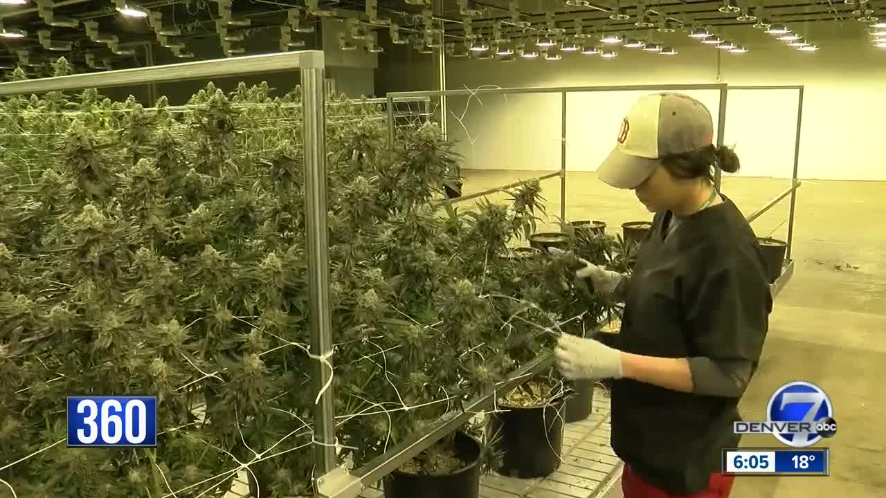 Colorado bill would allow for public investment in the marijuana industry