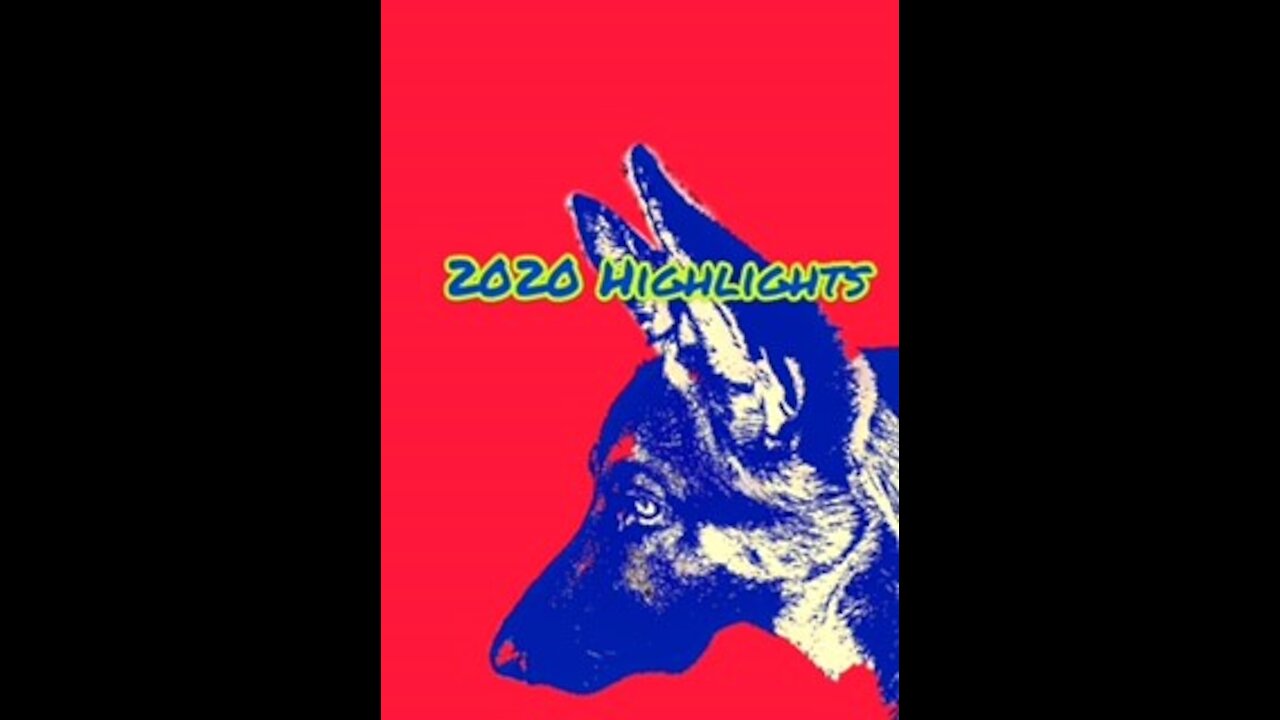 2020 Highlights