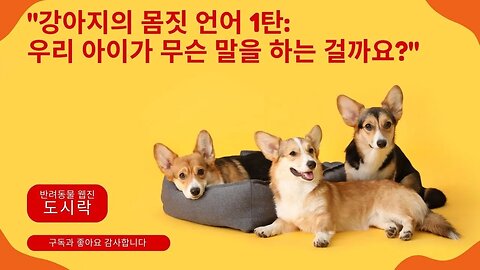 "강아지의 몸짓 언어: 알고 싶은 모든 것"