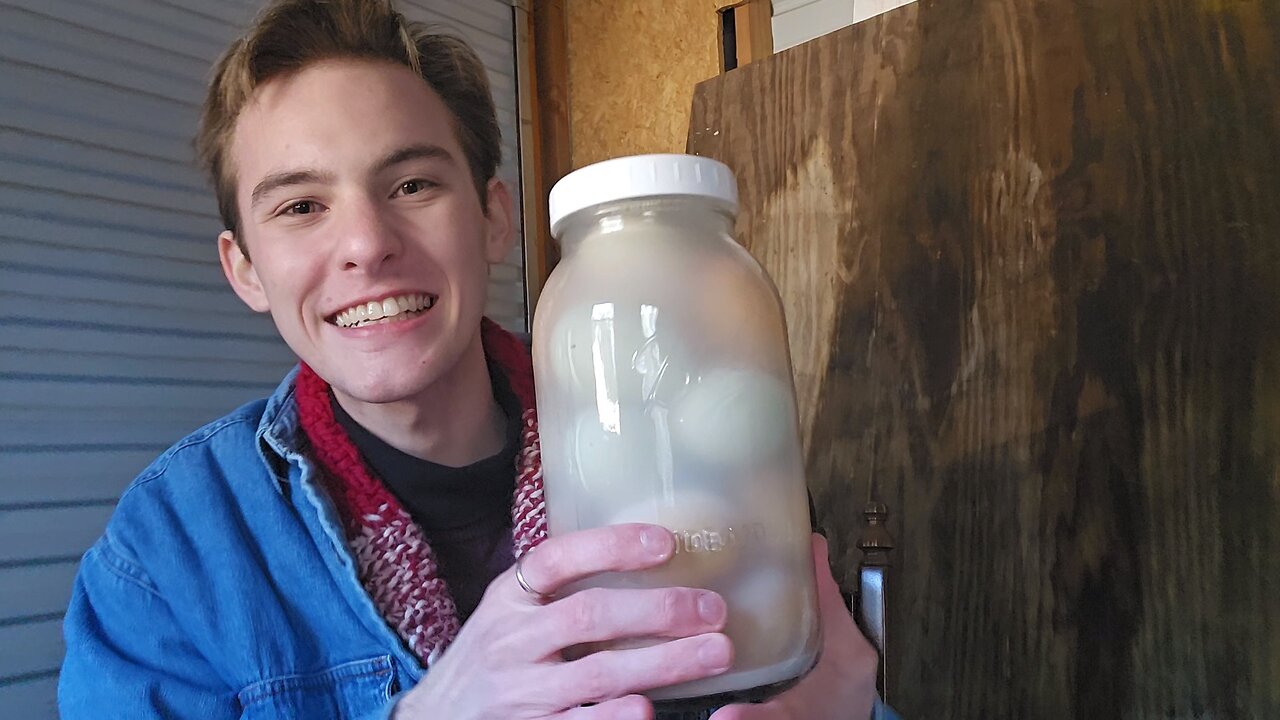 Water Glassing Eggs and A Neighborhood Tragedy. | VLOG