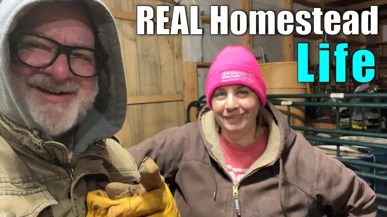 Real Homestead Life | Big Family Homestead