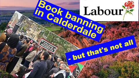 Socialism, book banning, transgenderism, JSO ...and Palestine?