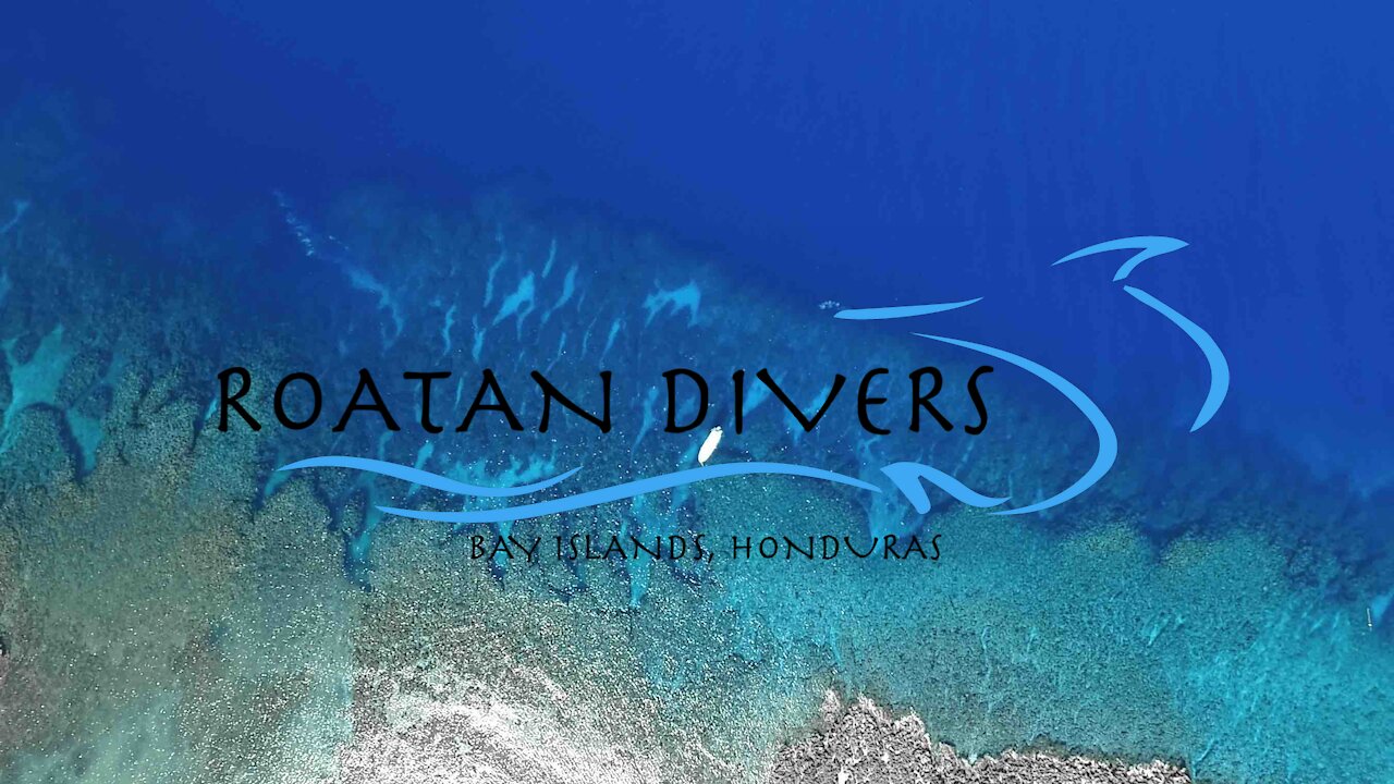 Roatan Divers