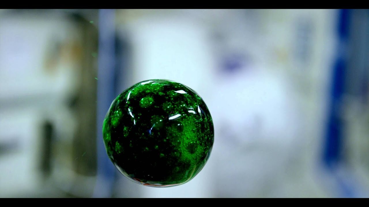 4K Video of Colorful Liquid in Space #TheNewsOfWorld