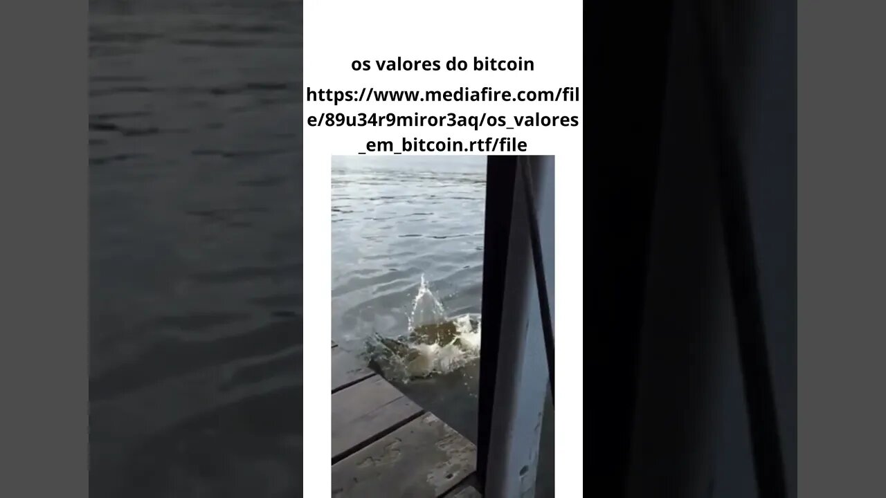 os valores em bitcoin