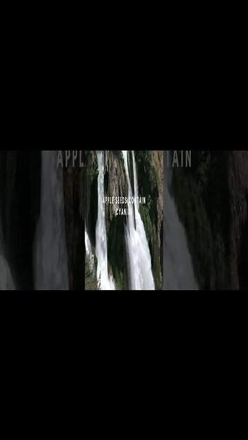 RANDOM FACTS! For The Curious Mind Vid #22 #Shorts #Facts