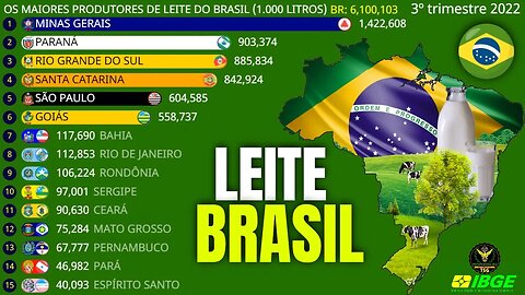 Os Maiores Produtores de Leite do Brasil