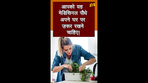 टॉप 4 मेडिसिनल पौधे जो आपके घर मे होने चाहिए *