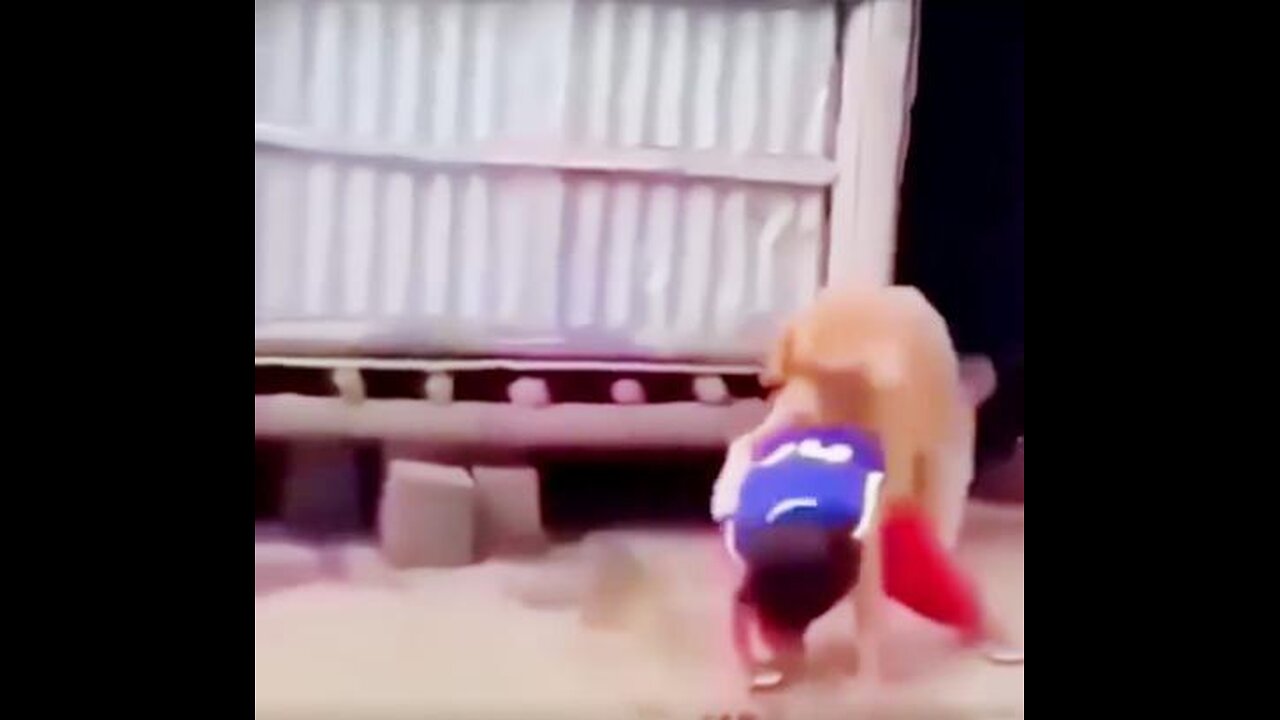 A Funny Video Found in the Internet