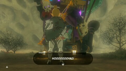 Breath of the Wild Master Mode 68