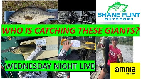 Wednesday Night Live Tournament Update