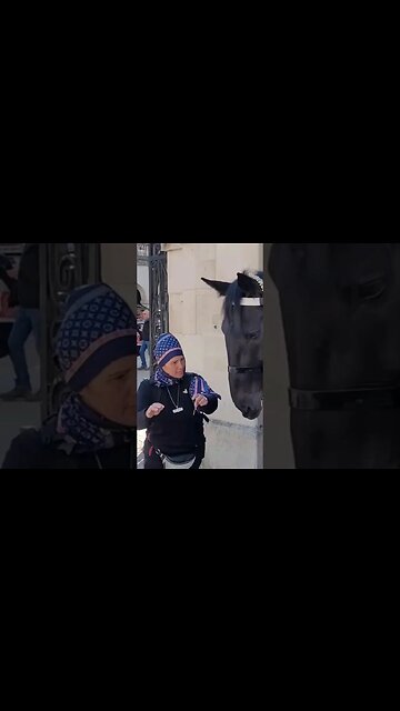 Karen picks hay out of the horses mouth #horseguardsparade