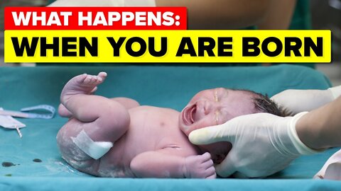 What Happens When You Are Born