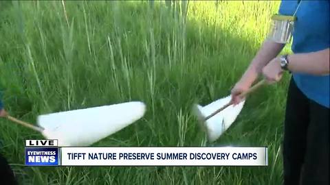 Summer camp at Tifft Nature preserve