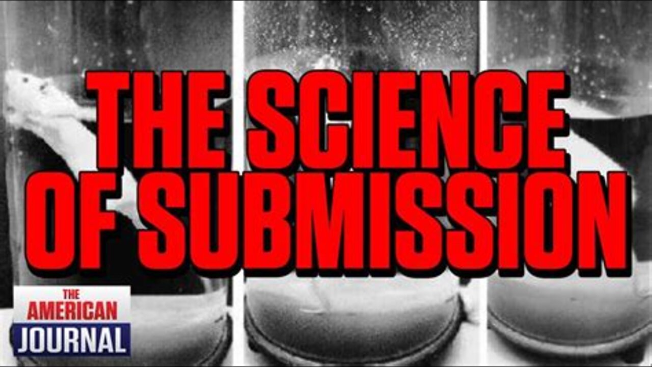 Boiling Frogs And Drowning Rats: The Science Of Submission