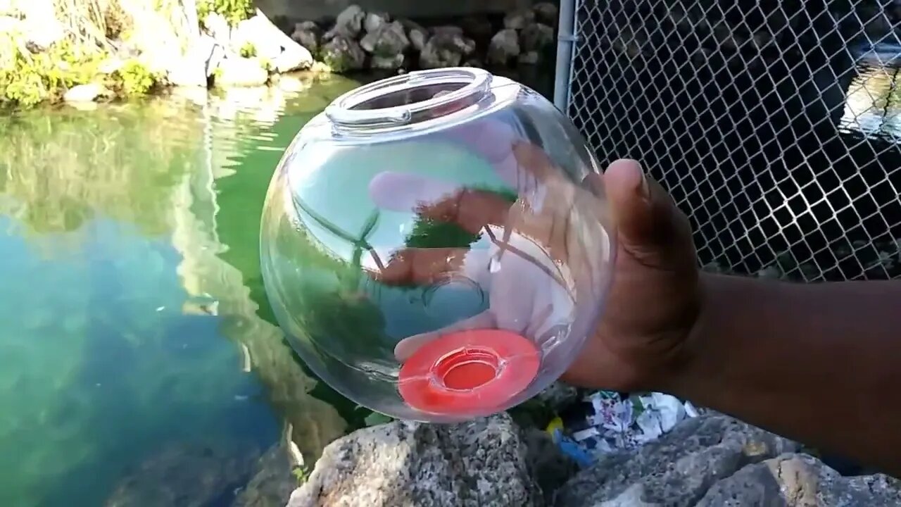 WORLD'S FIRST Gumball Machine AQUARIUM!