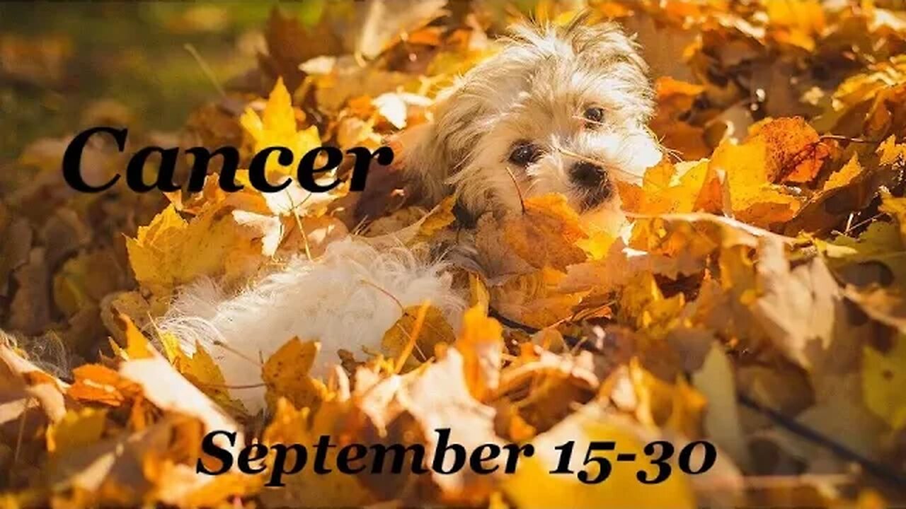 ♋ Cancer~Moving To Higher Ground! September 15-30