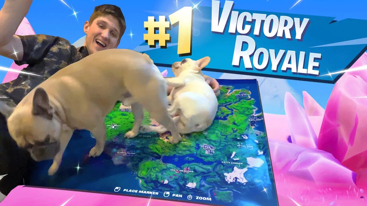 Using my PUPPIES To WIN in Fortnite Chapter 2!