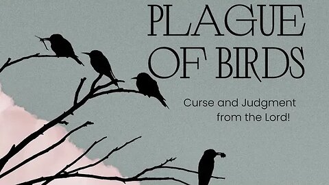 Plague of Birds! Sharing links at bottom.