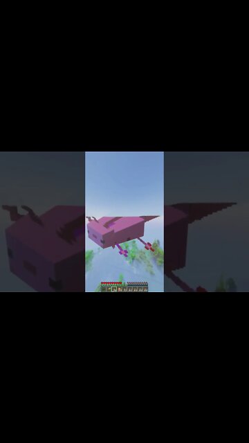 What should we build next? Minecraft 1.19 Java & Bedrock 24/7 Public SMP Server Art Shaders MC Mods