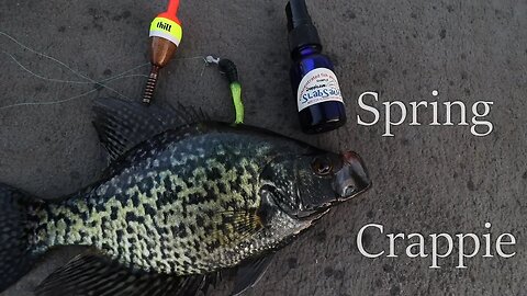 Fishing Ultra CLEAR water for Crappie on Beds | How to catch crappie with a BOBBER