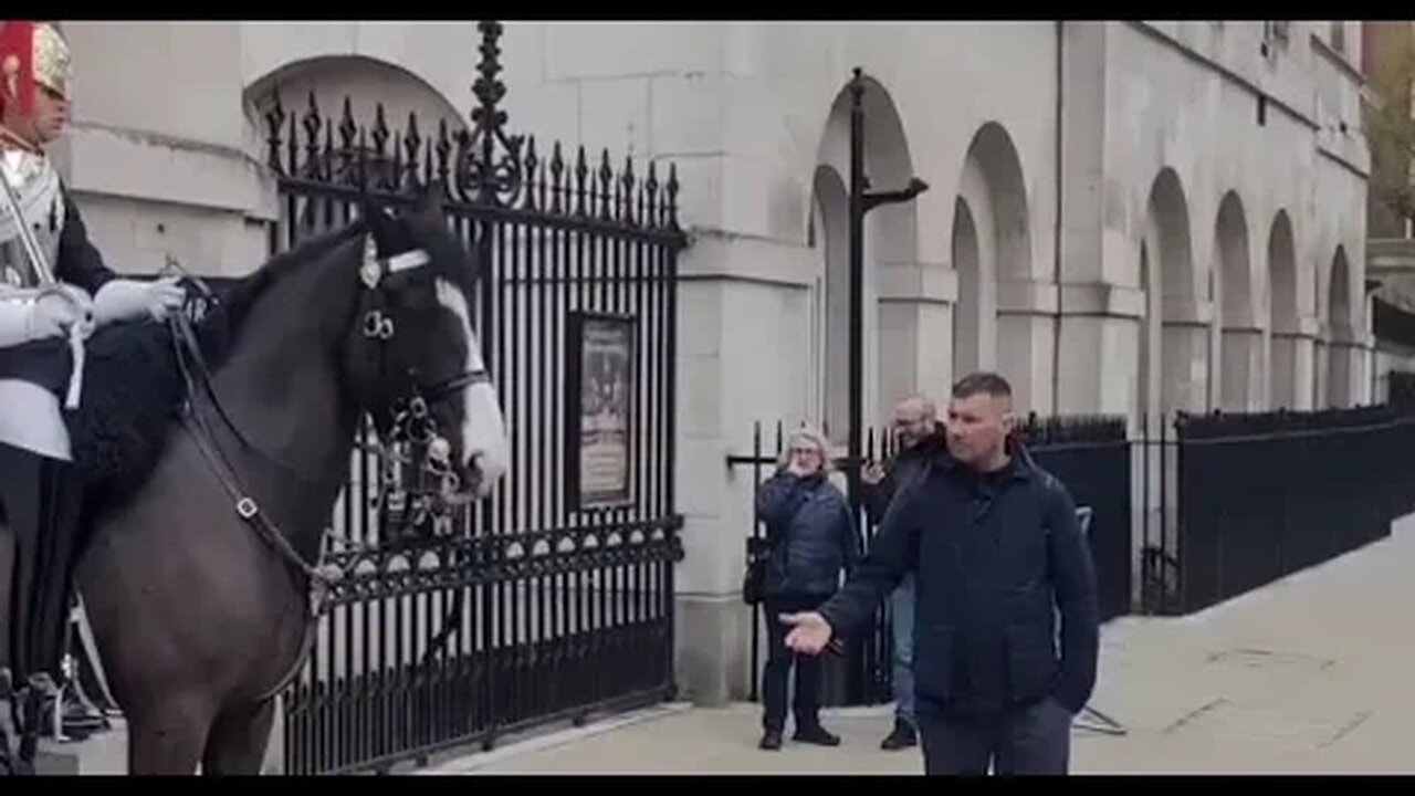 Quick clip horse charge stand back #thekingsguard