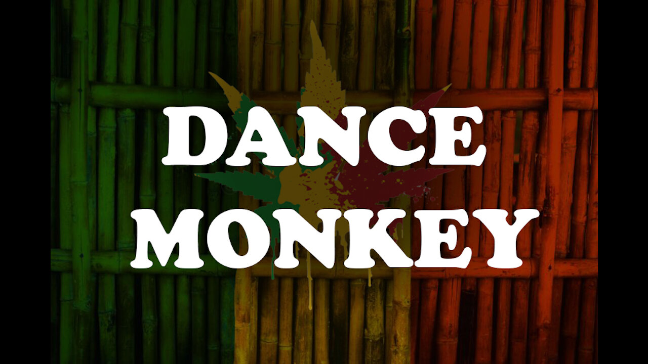 dance monkey reggae virsion