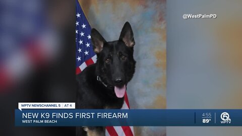 New K9 finds first firearm