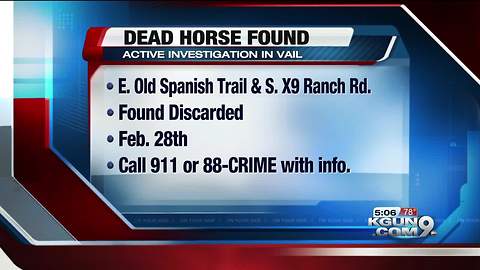 Dead horse discovered east of Tucson