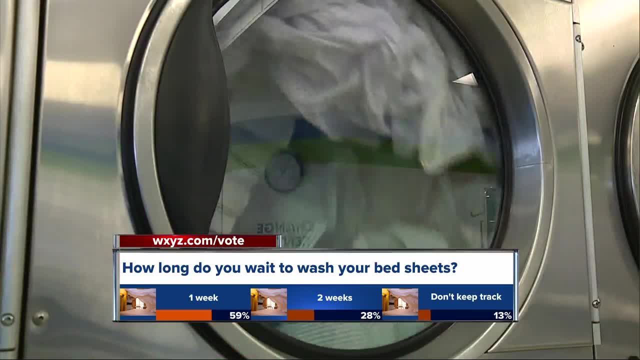 National Laundry Day: Study finds some dirty laundry secrets