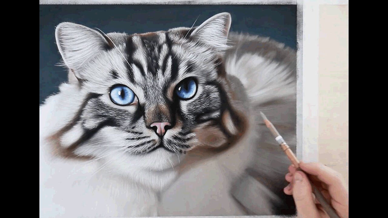 PHOTO-REALISTIC CAT DRAWING | Color Pastel Pencil Animal Art