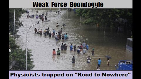 Weak Force Boondoggle