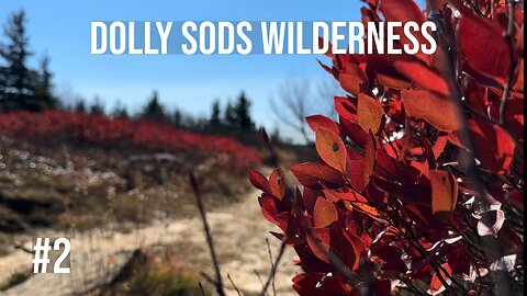 Backpacking the Dolly Sods Wilderness - Part 2