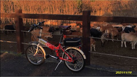 21_1119中彰投-貓羅溪