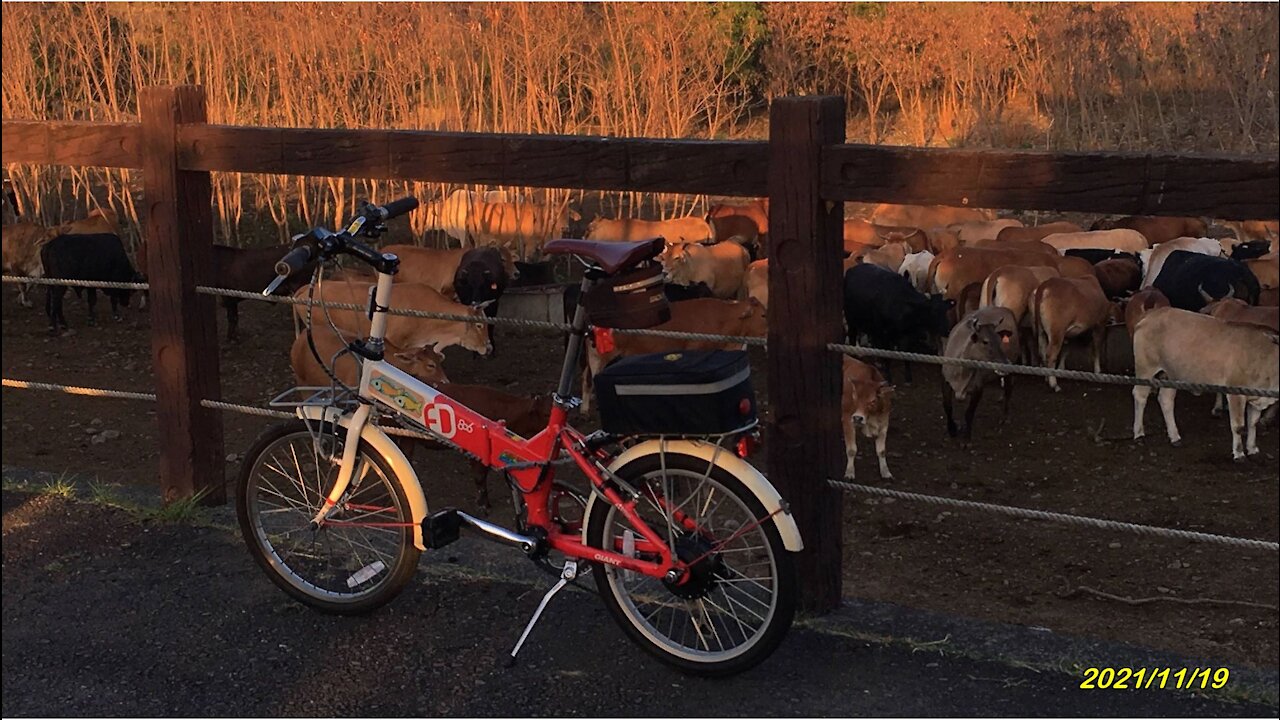 21_1119中彰投-貓羅溪