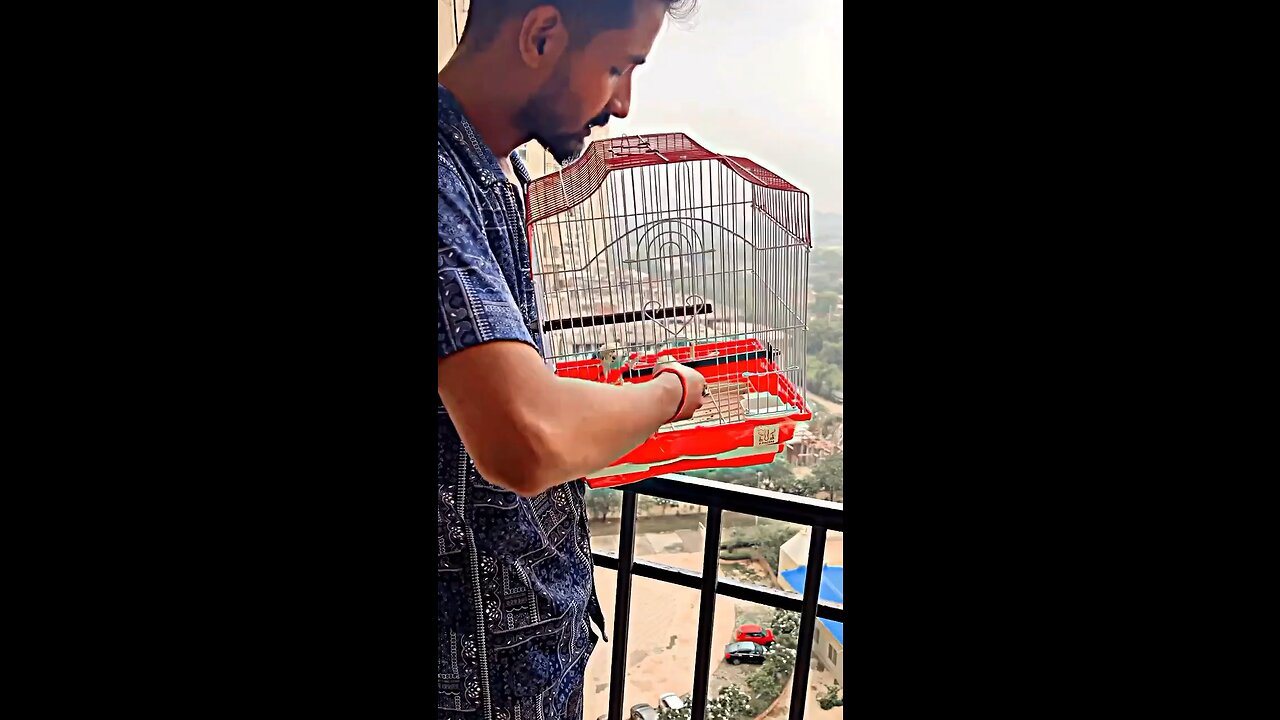 Aaj parrot ko azad kar diyaa ❤️❤️ #viral #new #freedom #birds #BthFX