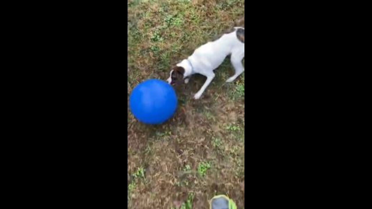 Princess and the Big Blue Ball