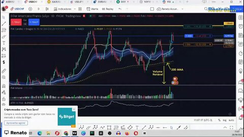 LIVE - NOVAS AMIZADES