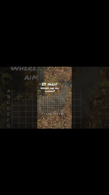 Shot Placement! Where are you aiming?