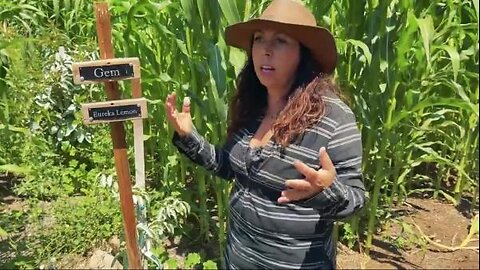 Mollie Engelhart - How To Plant Avocados For Market Produce